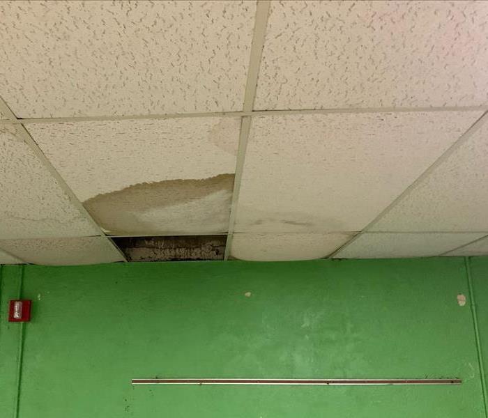 Flat roof leak causing ceiling damage