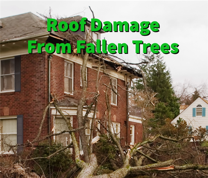 Roof damage caused by a fallen tree
