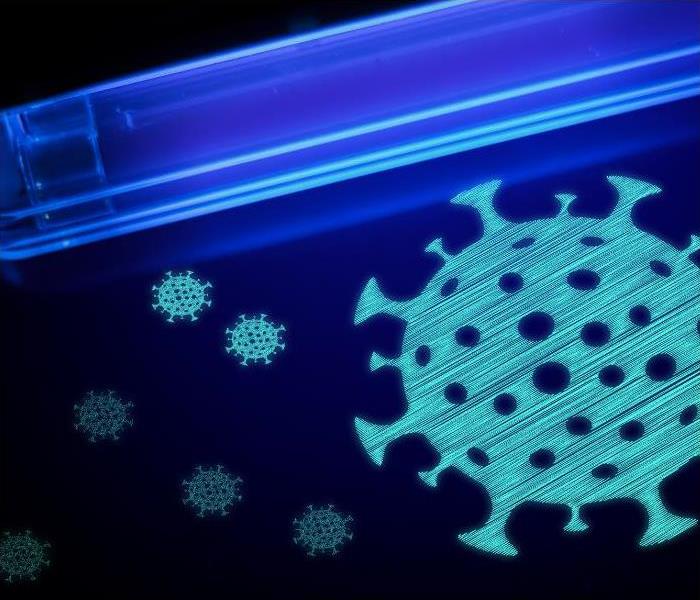 Commercial UV light sanitizer killing bacteria 