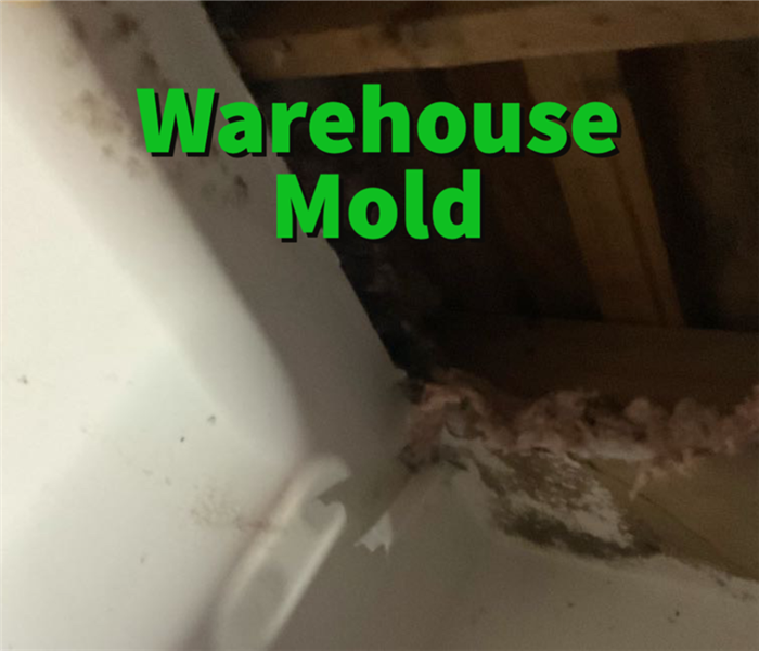 Mold inside of a warehouse walls